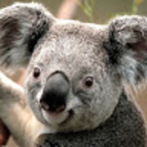 Meet your Posher, Barb